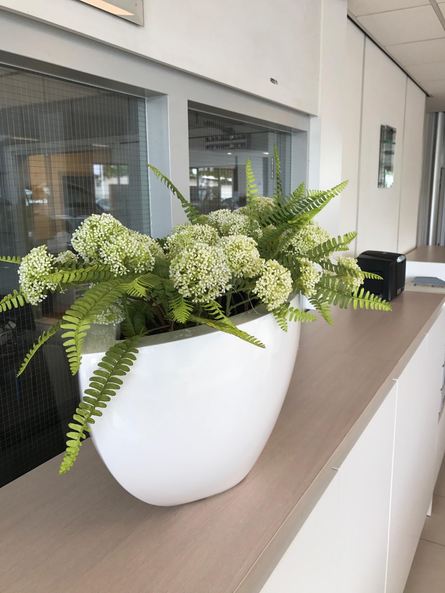 Toyota Van der Linde te Meppel